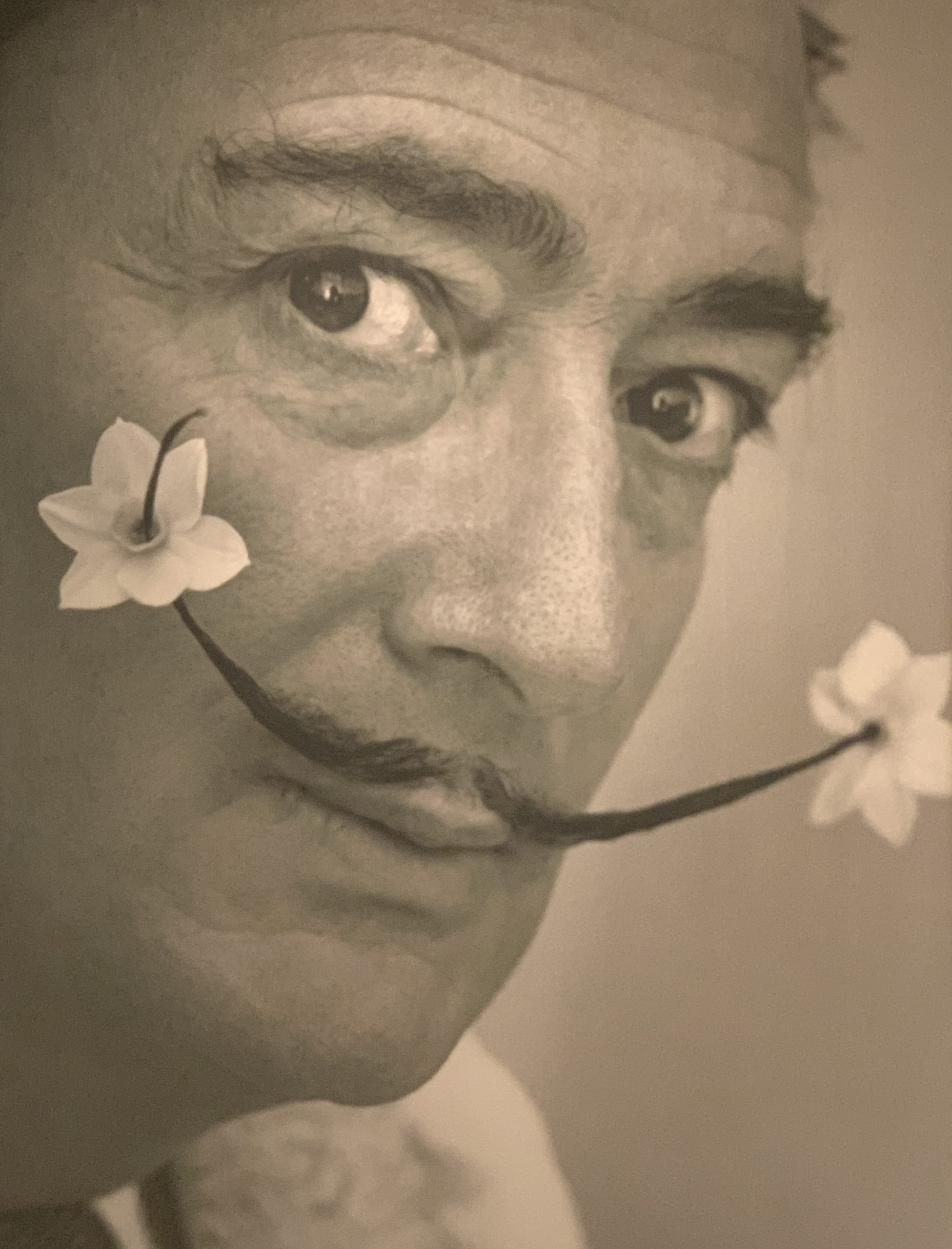 Salvador Dali: Gardens of the Mind