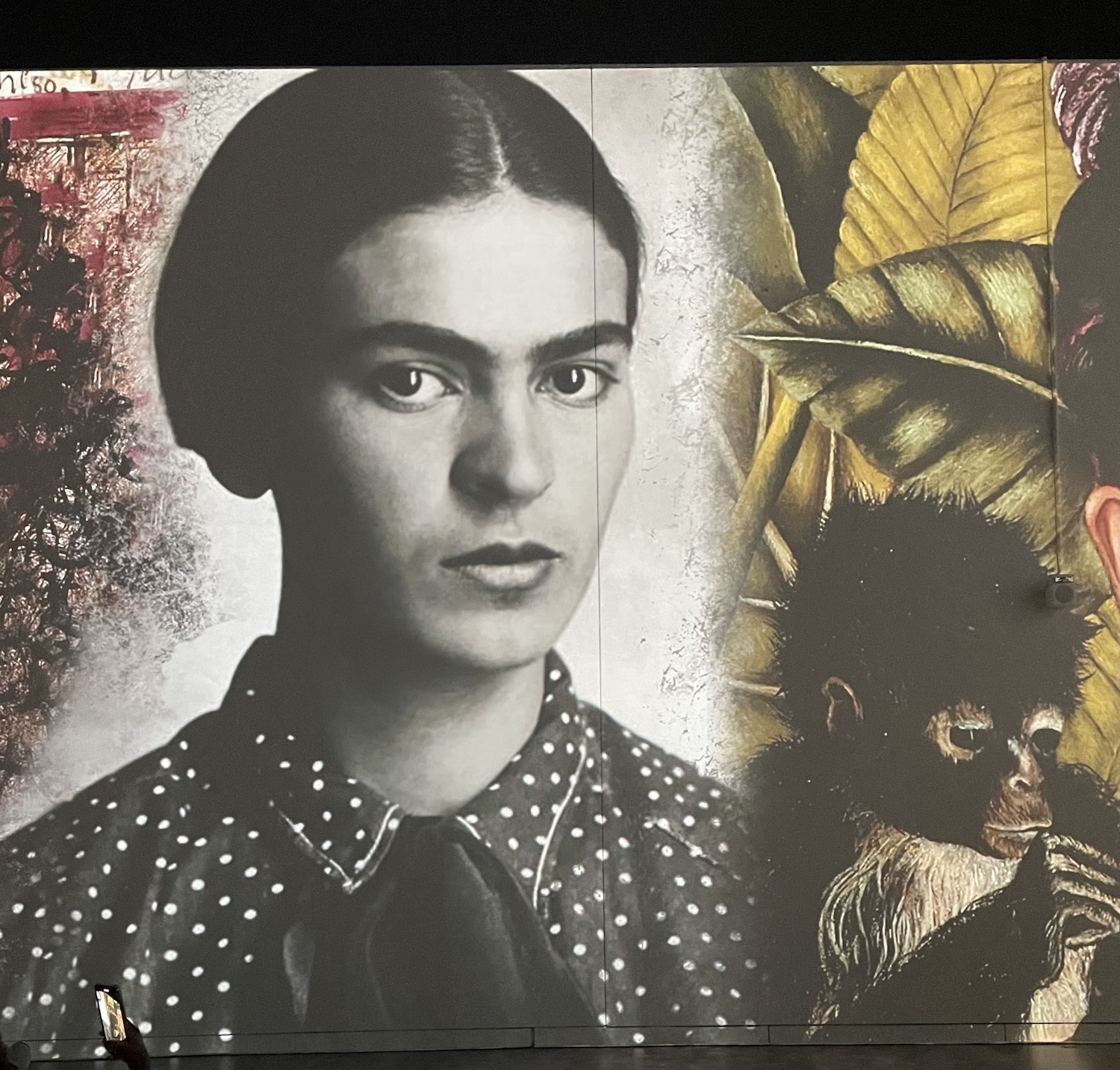 Frida Kahlo Immersive Denver
