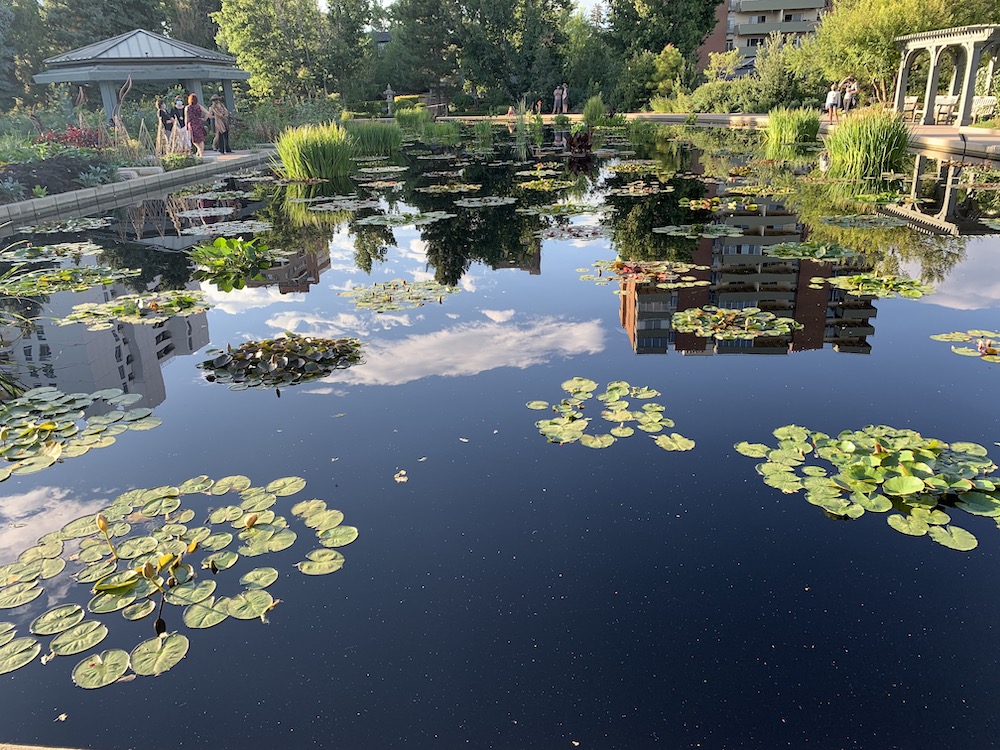 The Monet Pool at Denver Botanic Gardens - Things to do in Denver